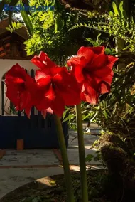 Ateliê Residência - Imersão Artística - Studio Residency - artistic Immersion - Image 2