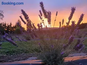 Lavender Row Farm - Image 1