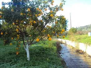 Villa Nostos - Image 2