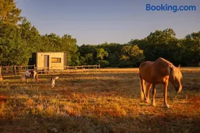 Homnest - Clairiere des Animaux - 1h de Toulouse - Image 3