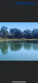 Glampingzelt Heide - Lodge - Image 4