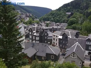 Waldblick - Image 1