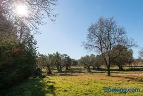 Finca el Palomar de la Viña - Image 2