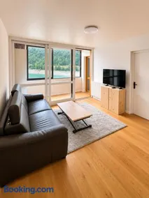 Charmant appartement T2 avec coin montagne vue lac - Image 1