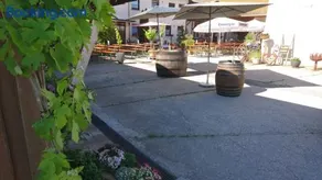 Weingut Will & Würz Riesling - Image 2
