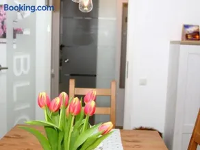 Appartement avec internet haut débit, terrasse et barbecue | Vue jardin - Image 3