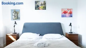 Wellocum - Image 3