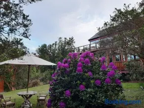 Hostel Torobayo - Image 2