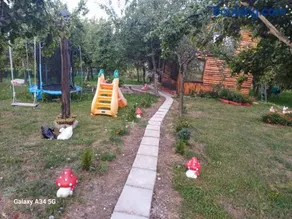 La tataie Nucșoara - Image 2
