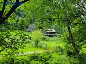 Boons Camp Cabin - Image 3