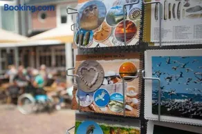 Gastenverblijf Janssen in Schagen (NH) - Image 2