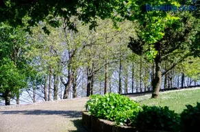 Bosque Encantado - Image 5