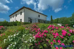 Villa De' Michelangioli - Image 2