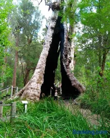 Crystal Springs Holiday Accommodation - Image 3