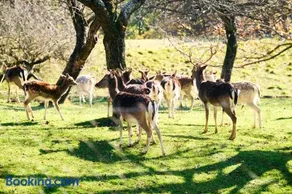 Boutique Farm Hrovat - Image 2