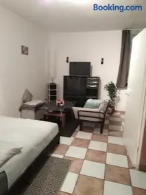 Schöne Studiowohnung, renoviert, zentrale Lage - Image 1