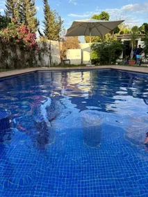 Paradise house - Image 1