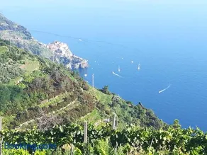I TRE GRAPPOLI - Image 3