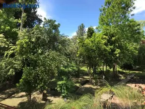Cabaña en Isla del Delta de Tigre - LA CALMA - Image 3
