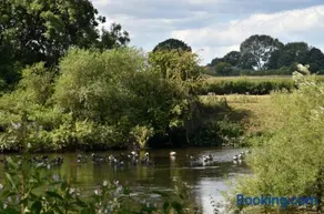 Boat House Lodge - Image 3