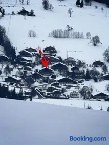 Chalet à Megève-Vauvray - Grands Appartements , vue Mont Blanc - Image 3