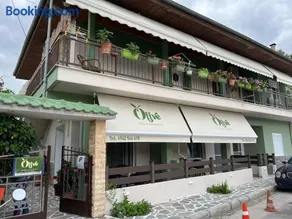 Olive - Image 1