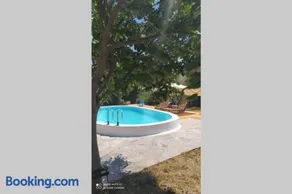 ΑΡΧΟΝΤΙΚΟ ΣΤΟΥΣ ΠΡΟΠΟΔΕΣ ΤΟΥ ΟΡΟΥΣ ΔΙΡΦΥΣ - Image 2
