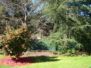 Ageri Holiday House - Image 4