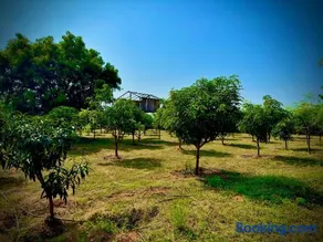 MangoHut Farmhouse Pool Villa - Image 5