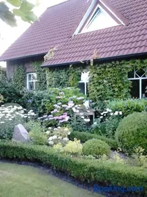 Ferienhaus Zaunkönig - Image 1