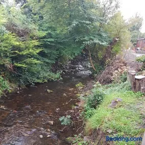 Bear Lodge - Image 4