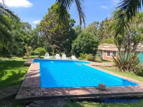 El Campito - Image 2