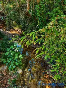 Le Moulin des Salces - Image 3