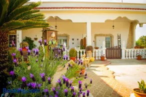 B&B Pietrafitta - Image 1
