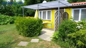 Bärenklau - Image 2