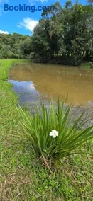 Chacara com Piscina coberta em Mandirituba PR - Image 5