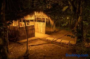Misty Hills Cabin - Image 2