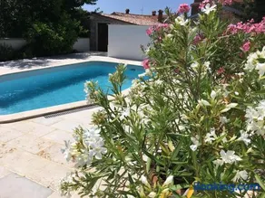 Beautiful stone house in Istria - Image 2