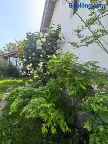 Харизма - Image 4