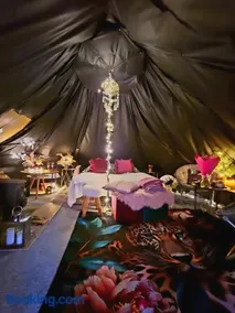 Glamping in - luxury tent - Image 2