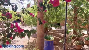 Camping Bassou - Image 2