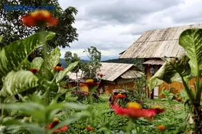 Kirin Farm - Image 3