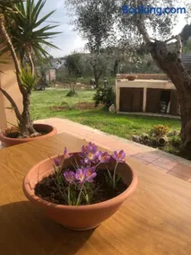 La tana dei Ricci - Image 2