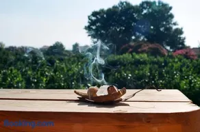 Irene's Treehouse - Image 2