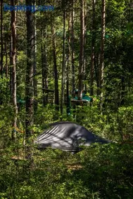 Adventure Forest - Image 1