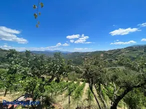 Agriturismo Baccanale - Image 2