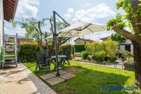 Le Rose - Image 1