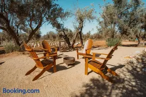 Hábimo - Valle de Guadalupe - Image 2