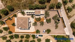 PALELIA living in the olive garden - Image 5