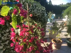 B&B Maison Brora - Image 5